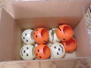 �J�{�`���̎R